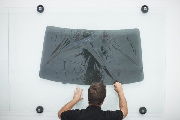 IMG_4551-1 IMG_4551-1